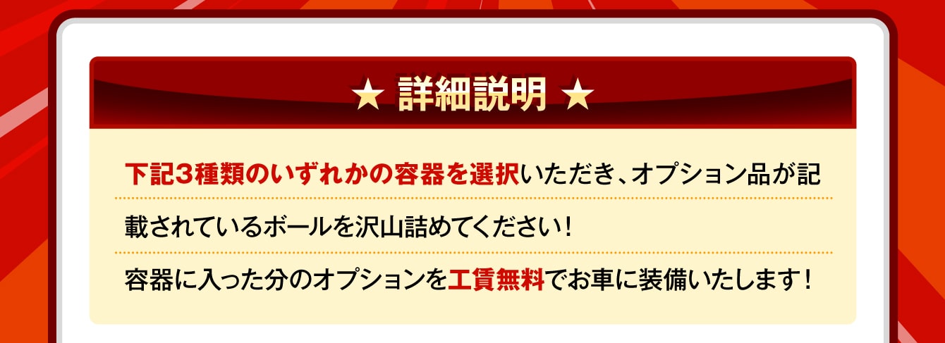 詳細説明